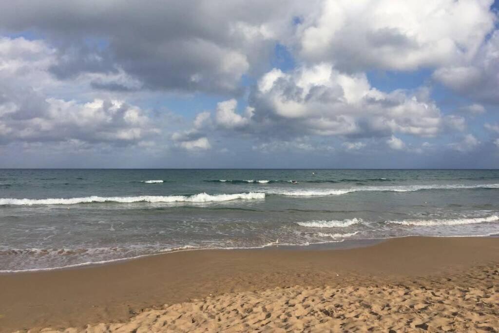 Beach Dream Apartment La Mata  Exteriör bild